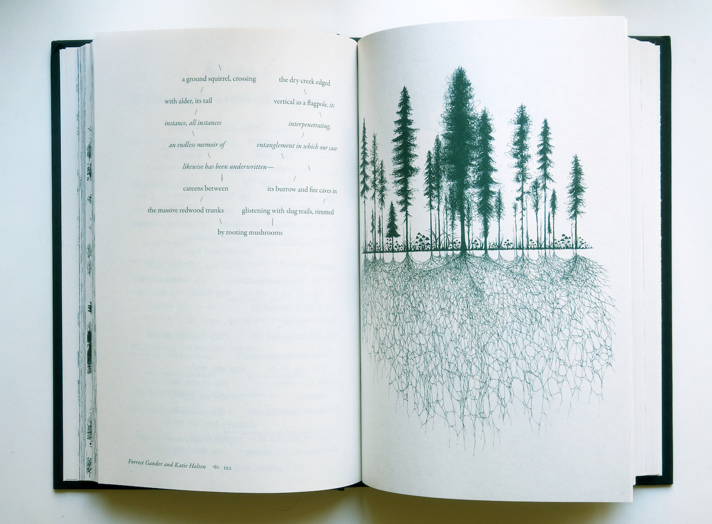 Rewilding: Katie Holten and The Language of Trees - Asymptote