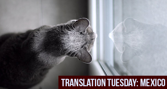 Translation Tuesday: The by - Carmen Double Cat Blog Boullosa Syndrome Asymptote