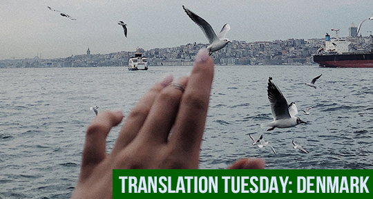 Translation Tuesday: The Double Cat Syndrome by Carmen Boullosa